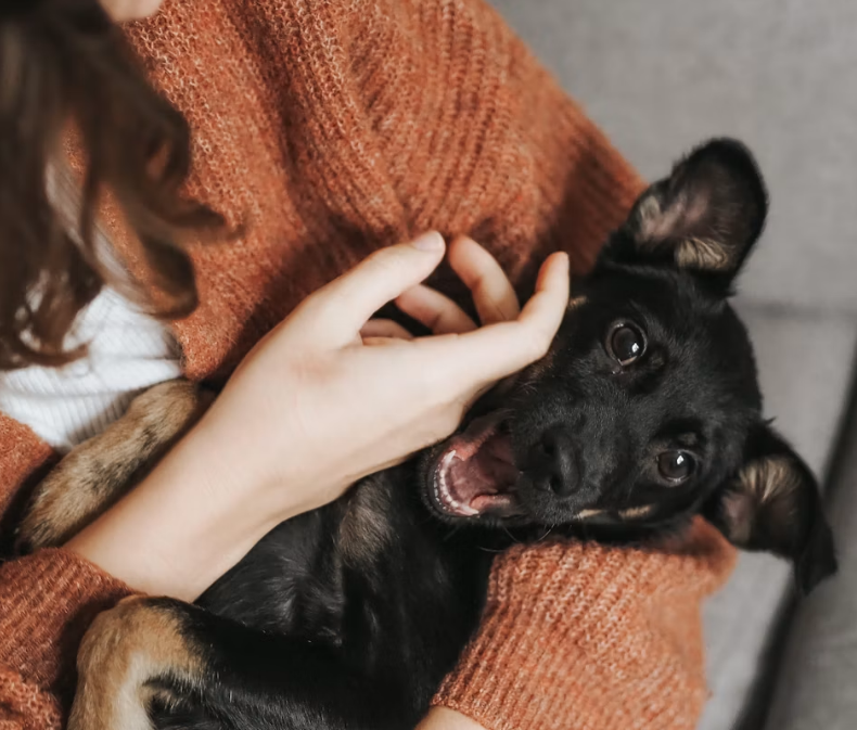 finally adopted from Unsplash